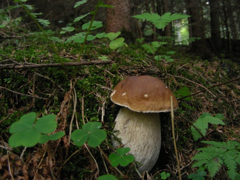 Qualche highlight 2007